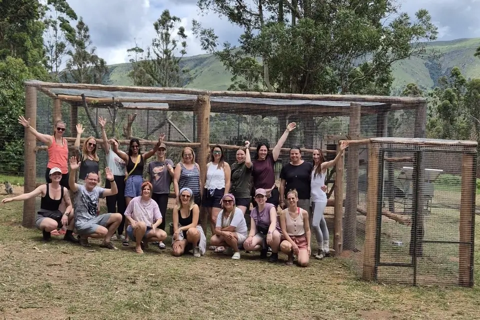 Helping Hands for Wildlife Südafrika Vervet Monkeys Volunteering Gemeinschaftsprojekt