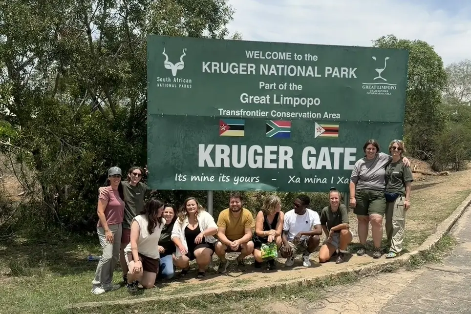 Helping Hands for Wildlife Südafrika Vervet Monkeys Volunteers Kruger Nationalpark